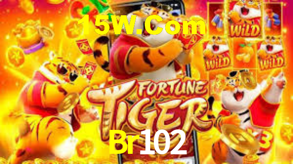 Premium Interface Br102