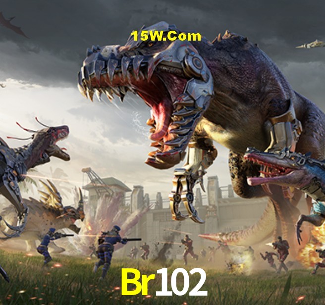 Sports Statistics Br102