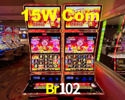 Br102 App Interface