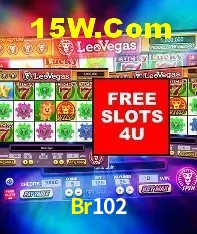 Flash Promotion Br102